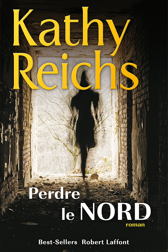 Couverture du livre Perdre le nord